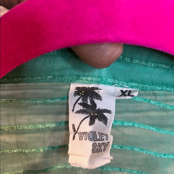 Violet Sky Jade sheer Green 2 pc top and shorts - Picture 5 of 5